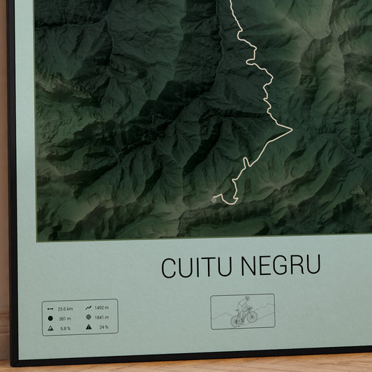 Cuitu Negru poster