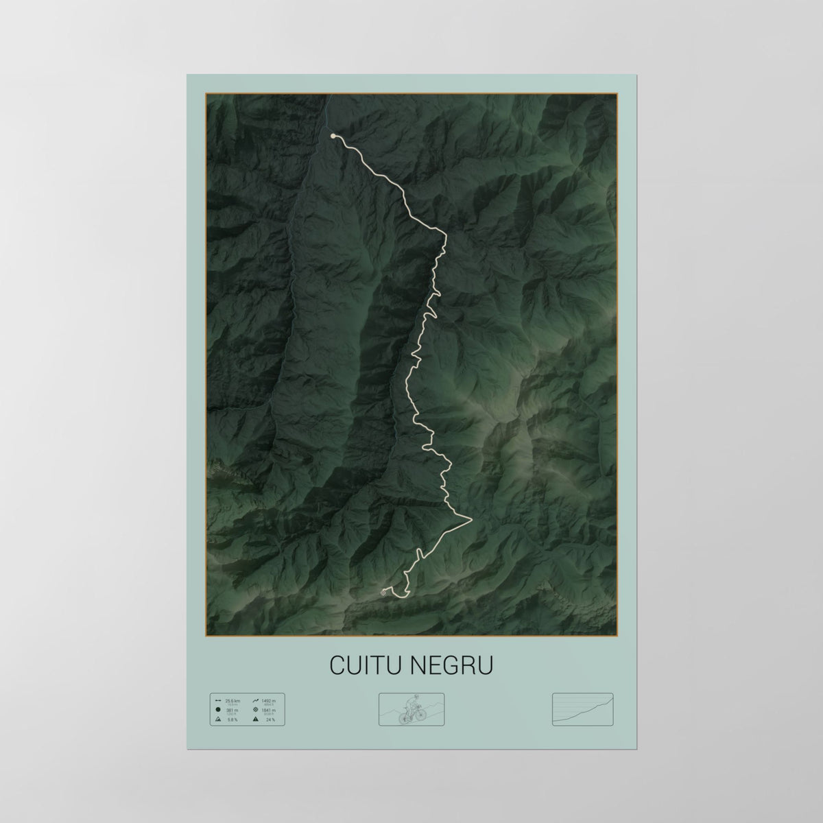 Cuitu Negru poster