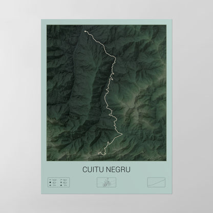 Cuitu Negru poster