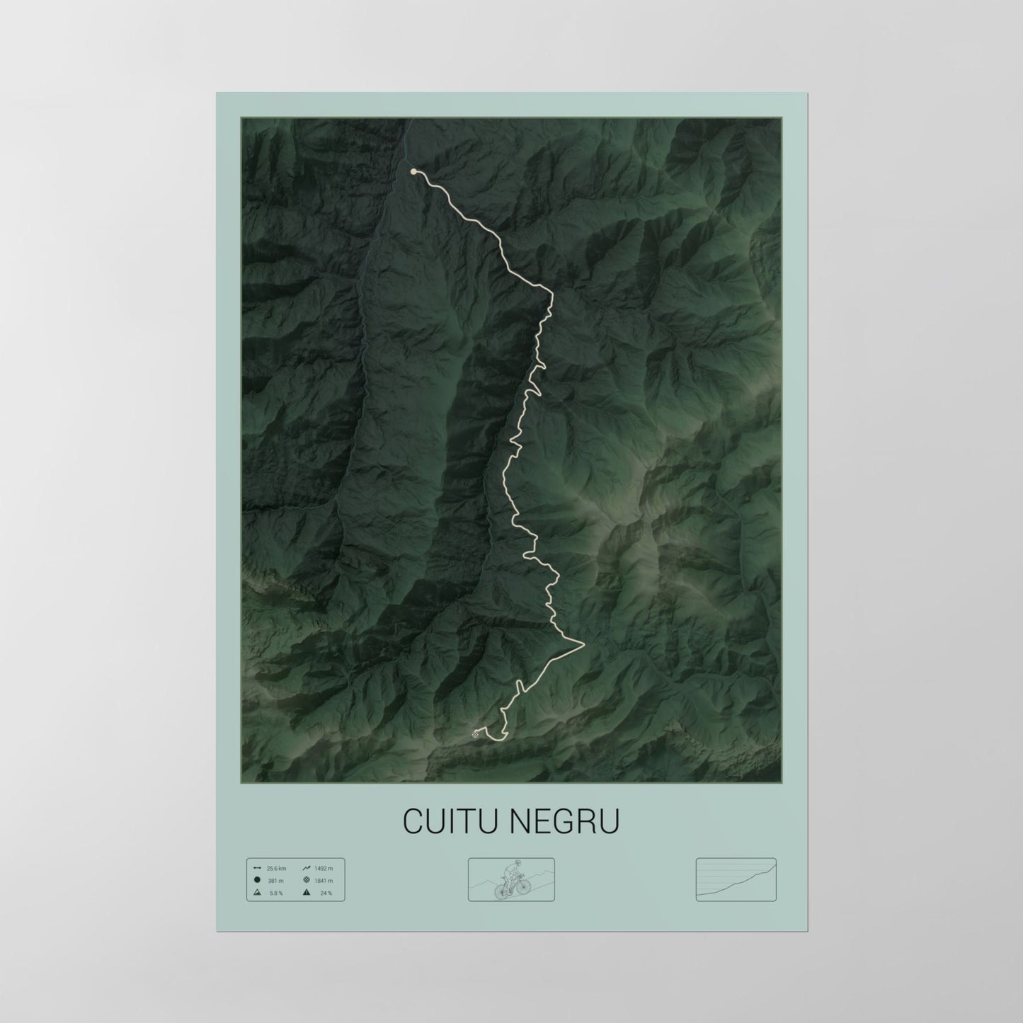 Cuitu Negru poster