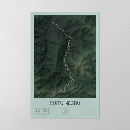 Cuitu Negru poster