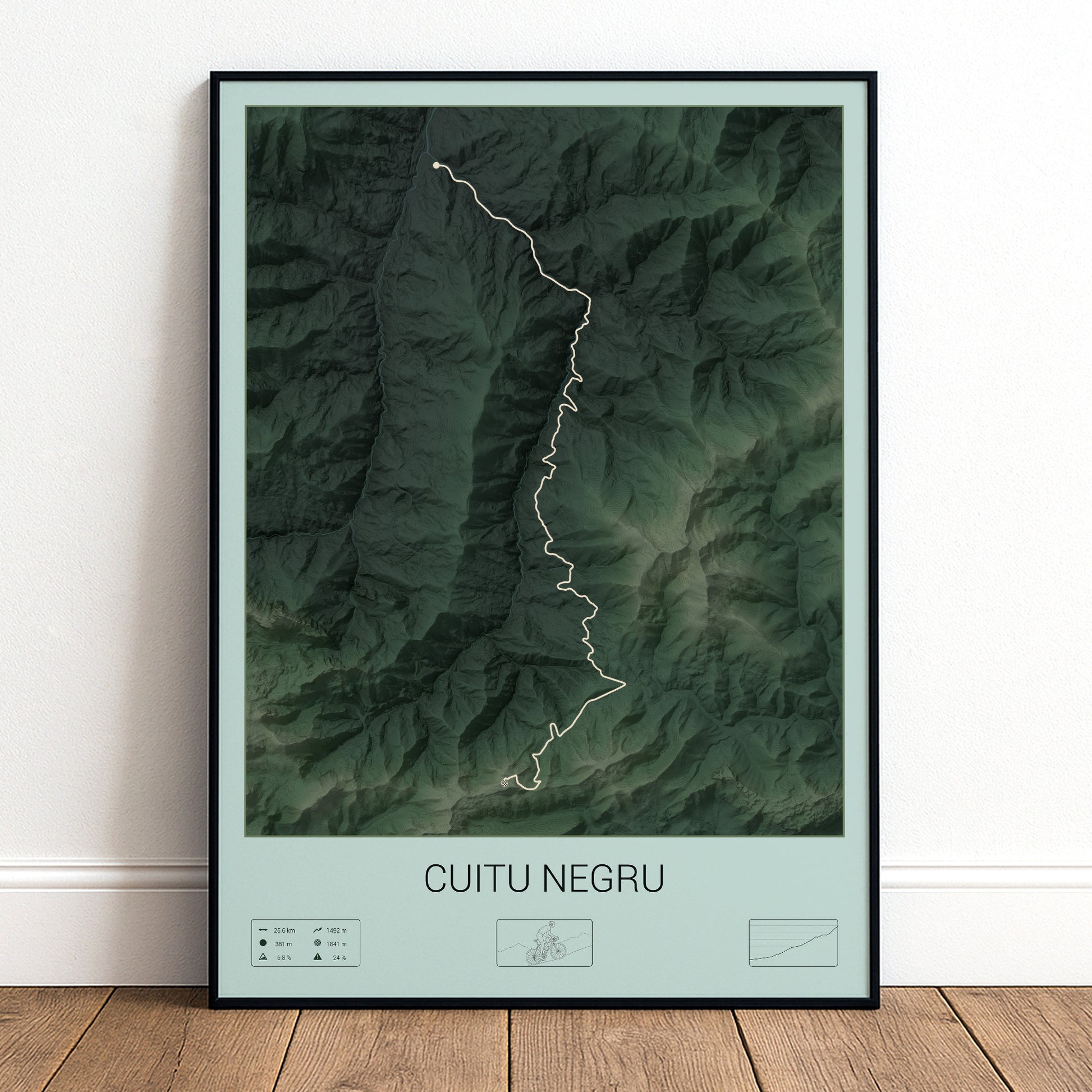 Cuitu Negru poster