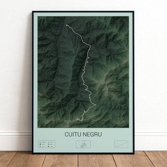 Cuitu Negru poster