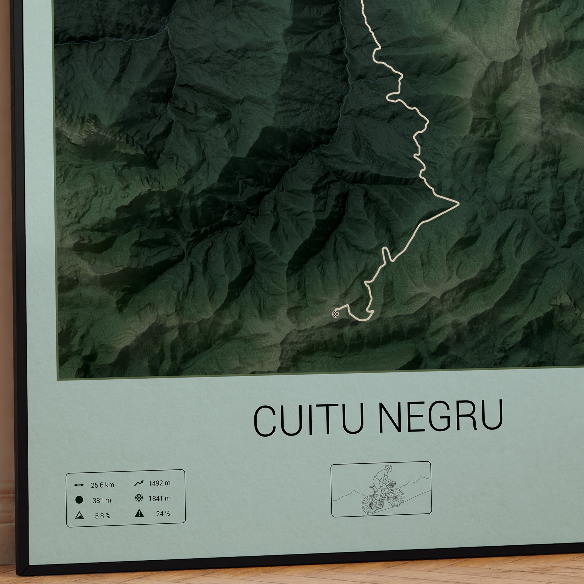 Cuitu Negru poster