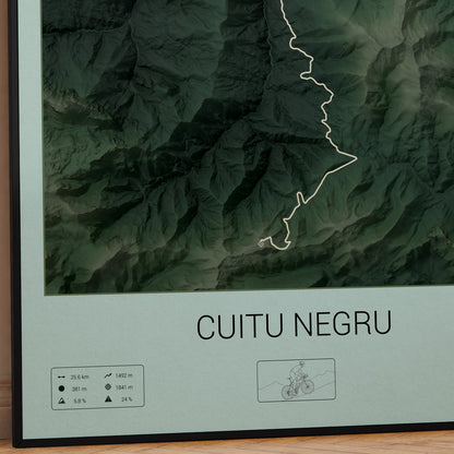 Cuitu Negru poster