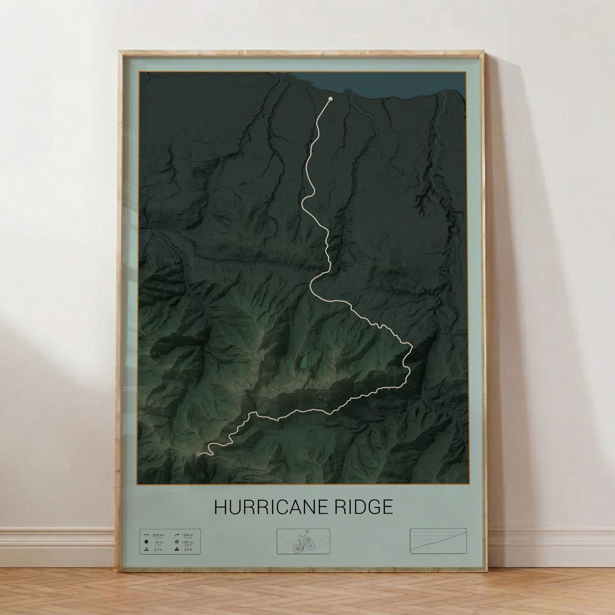 Hurricane Ridge poster