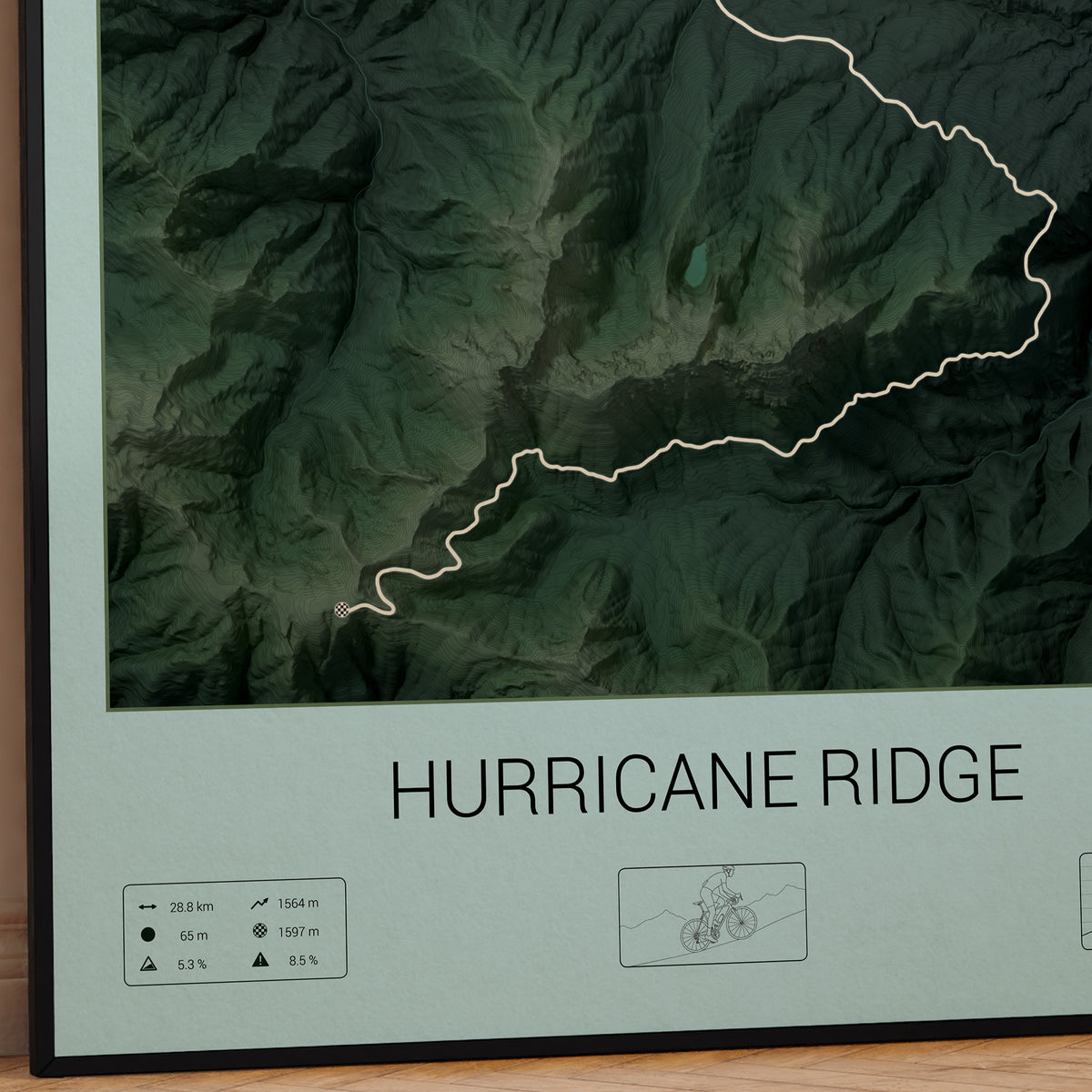 Hurricane Ridge poster