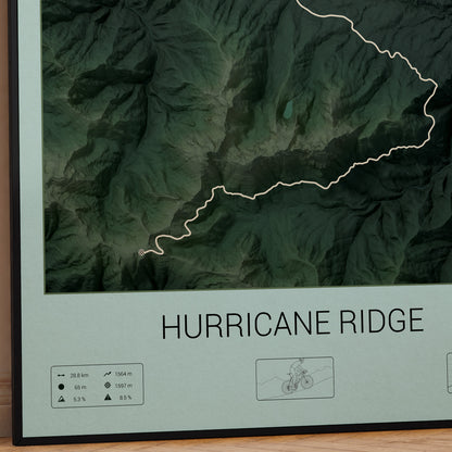 Hurricane Ridge poster