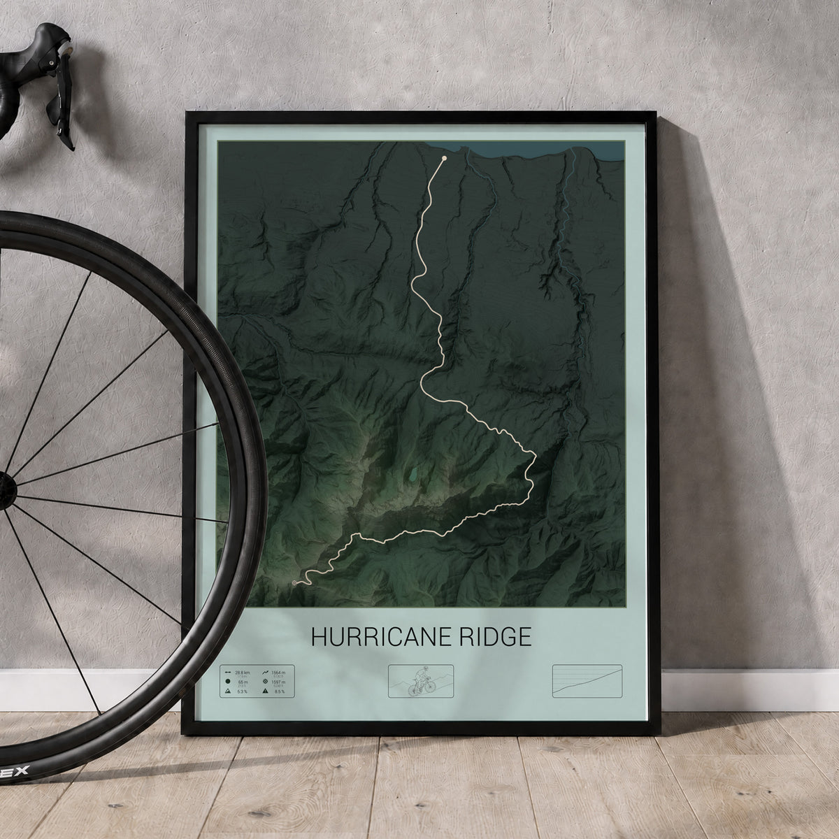 Hurricane Ridge poster