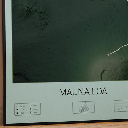 Mauna Loa poster