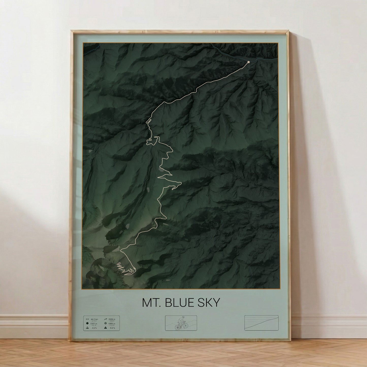 Mt. Blue Sky poster