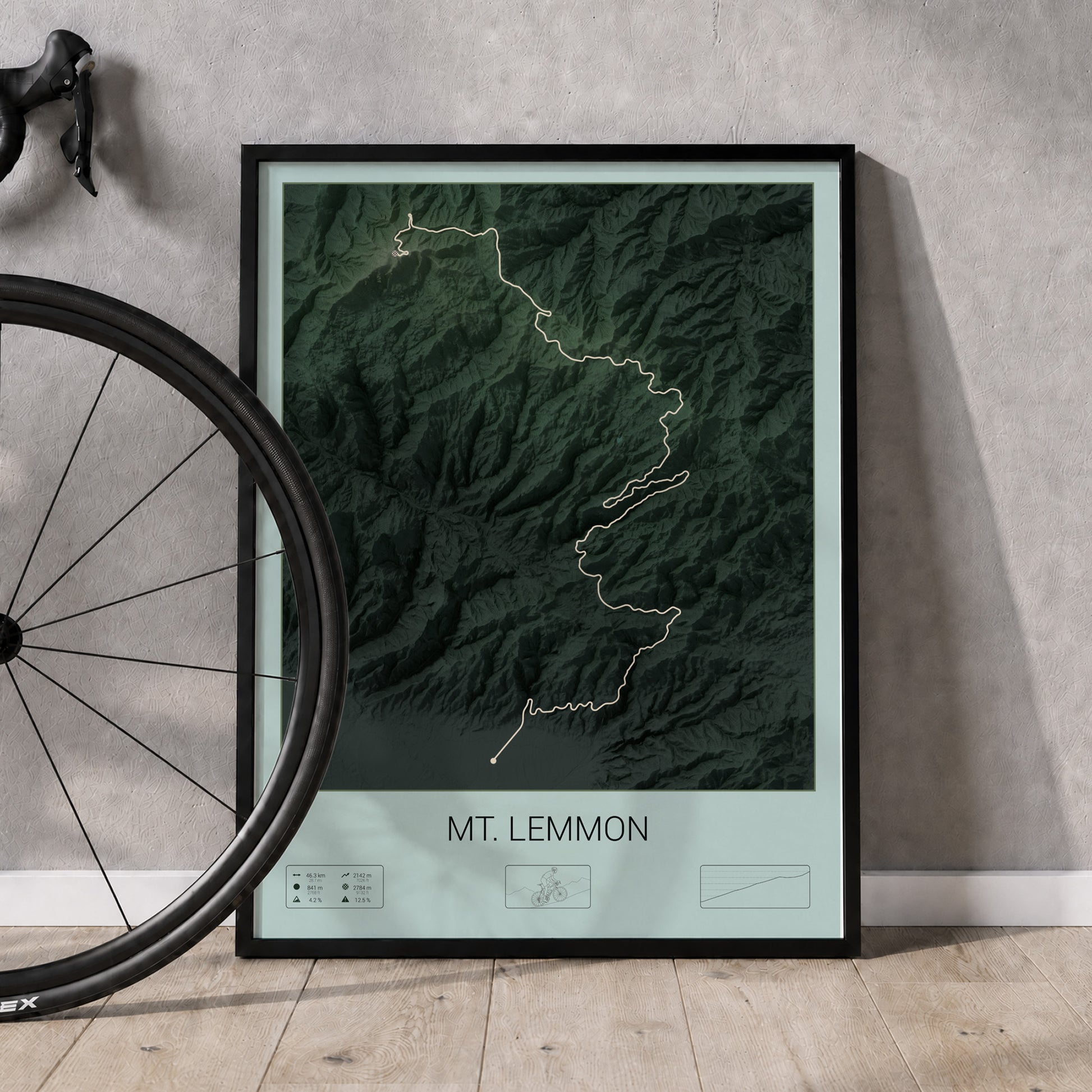 Mt. Lemmon poster