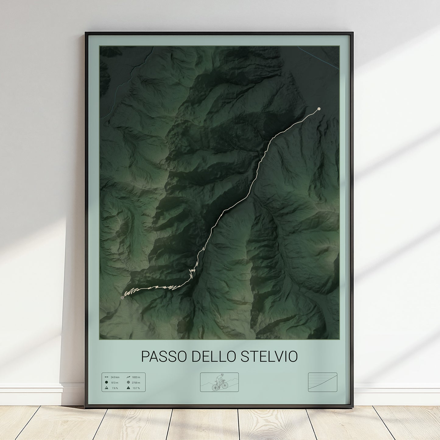 Passo dello Stelvio poster