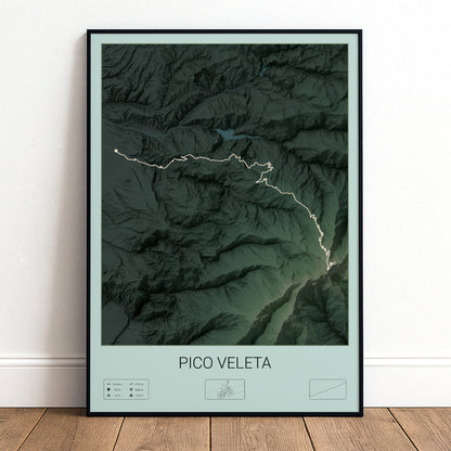 Pico Veleta poster