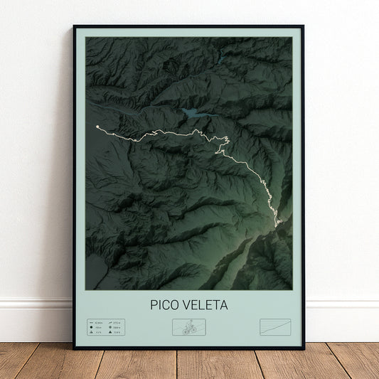 Pico Veleta poster
