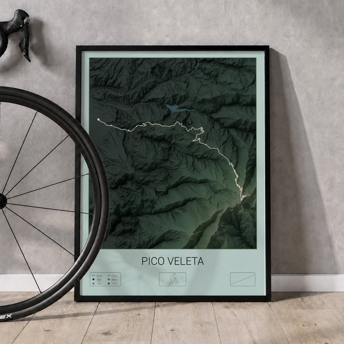 Pico Veleta poster