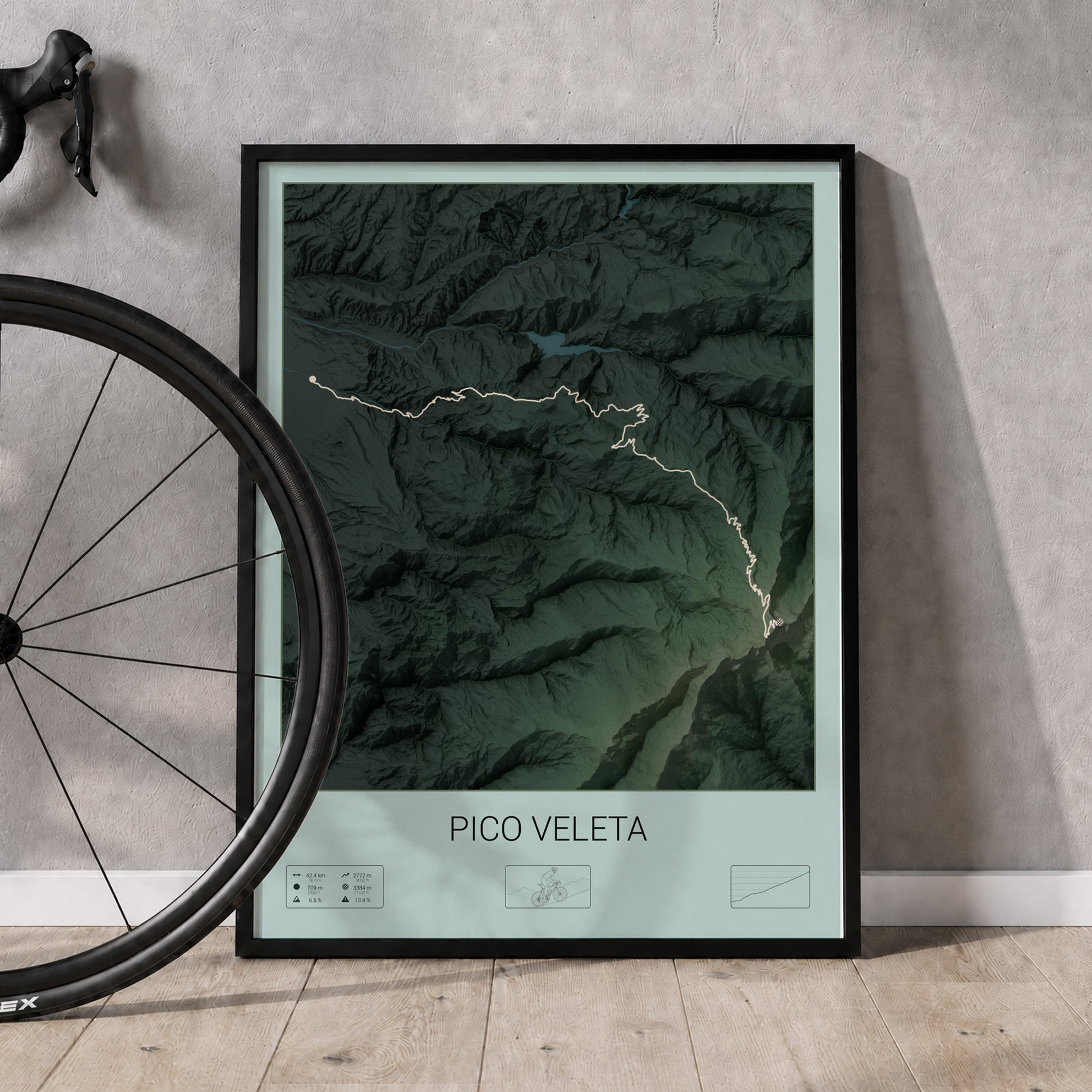 Pico Veleta poster